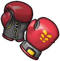 Ali Gloves